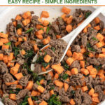 Homemade beef and sweet potato dog food and a serving spoon in a skillet.