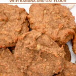 A pile of homemade sunflower seed dog treats.