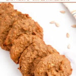 Homemade sunflower seed dog treats and sunflower seed kernels.