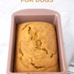 Homemade pumpkin bread for dogs in a loaf pan.