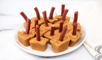 A plate of homemade pumpkin popsicles for dogs.