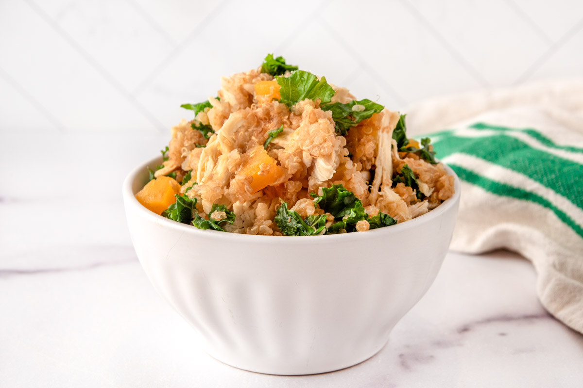 Homemade slow cooker chicken and quinoa dog food in a bowl on a marble surface.
