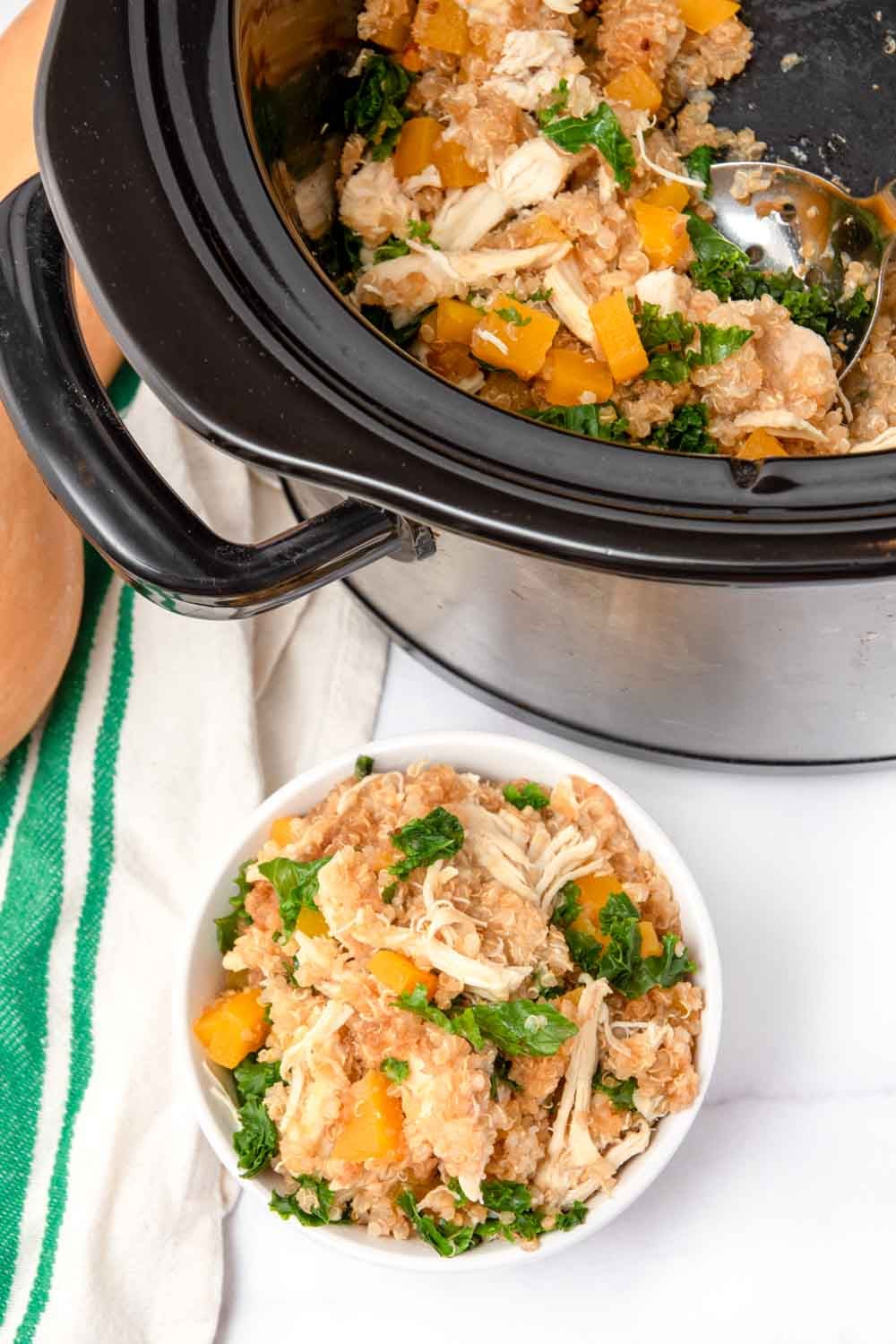 Slow cooker chicken and quinoa dog food in a crockpot and bowl.