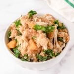 Slow cooker chicken and quinoa dog food in a small bowl.