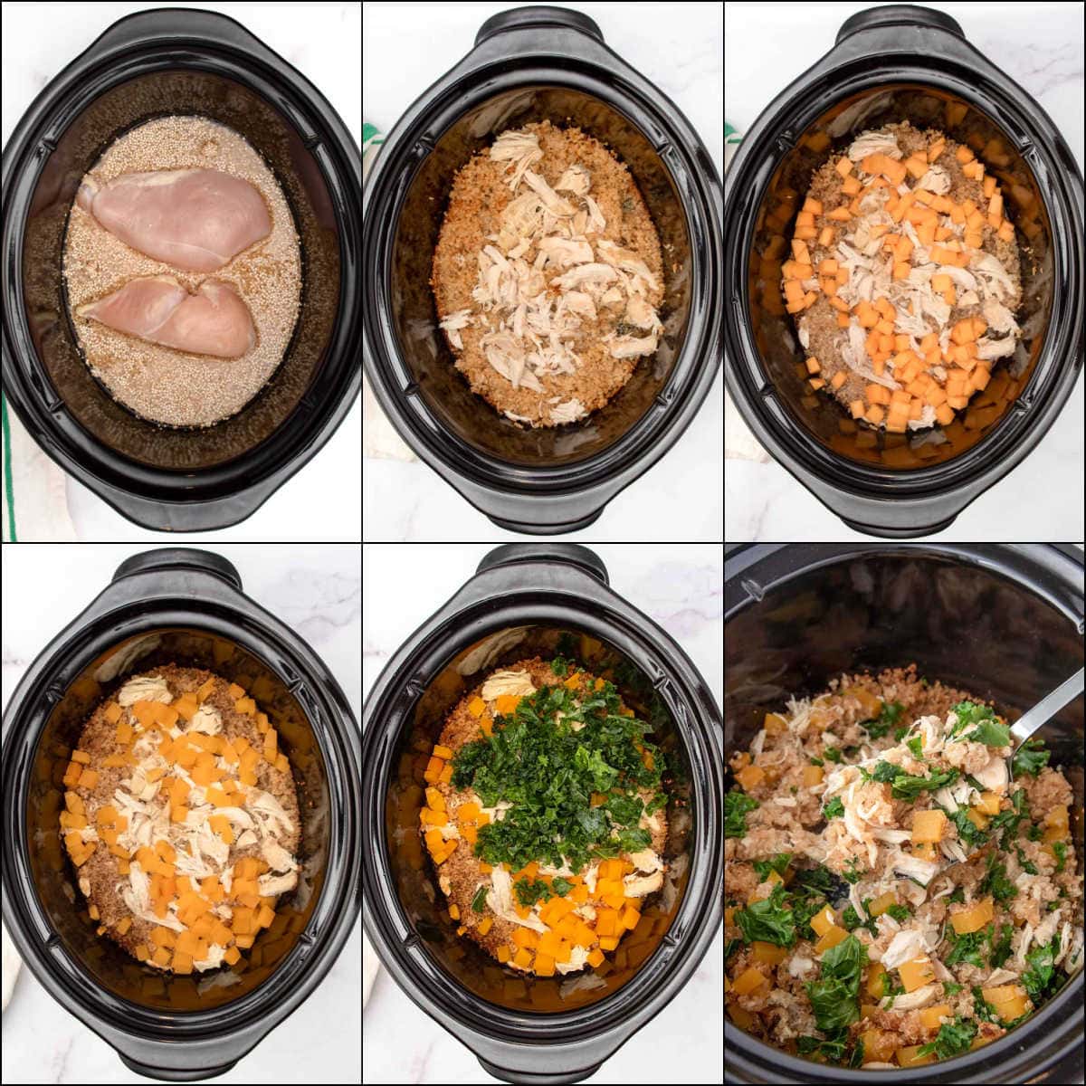 Making chicken and quinoa dog food in a slow cooker.