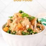 A bowl of slow cooker chicken and quinoa dog food with butternut squash and kale.