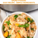 A bowl of slow cooker chicken and quinoa dog food next to a crockpot.