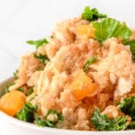 Slow cooker chicken and quinoa dog food with kale and butternut squash.