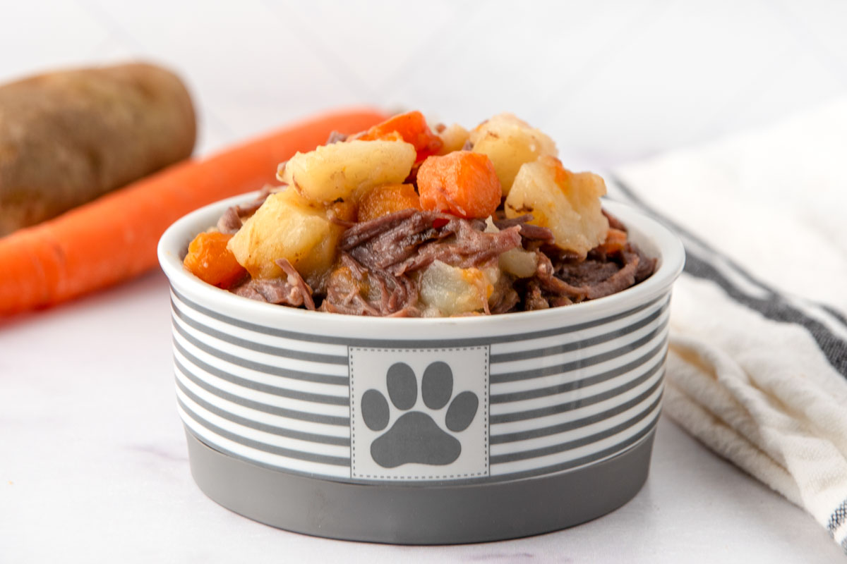 Homemade pot roast for dogs in a bowl and a potato and carrot behind it.