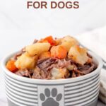 Homemade pot roast for dogs in a dog bowl.