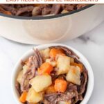 Homemade pot roast for dogs in a small bowl and Dutch oven.