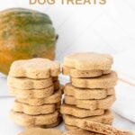 Stacks of homemade paw-shaped acorn squash dog treats and an acorn squash behind them.