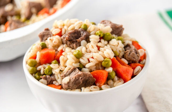 Homemade beef and barley dog food in a bowl and skillet.