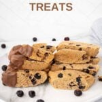 Homemade dog biscotti treats on a plate.