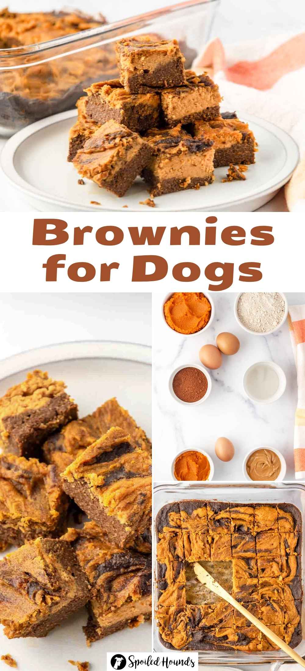 Beautiful view of What To Do If Your Dog Eats Brownie