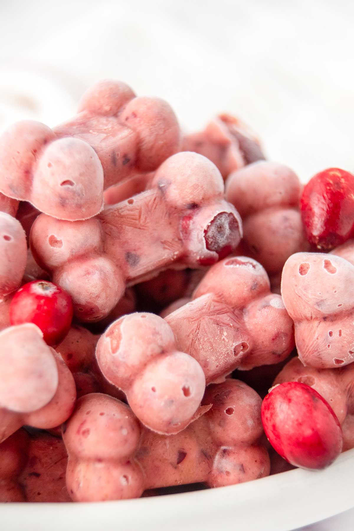 Homemade frozen cranberry dog treats and a few fresh cranberries in a bowl.