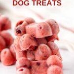 Homemade bone-shaped frozen cranberry dog treats in a stack on a marble surface.
