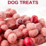 Homemade frozen cranberry dog treats and fresh cranberries in a bowl.