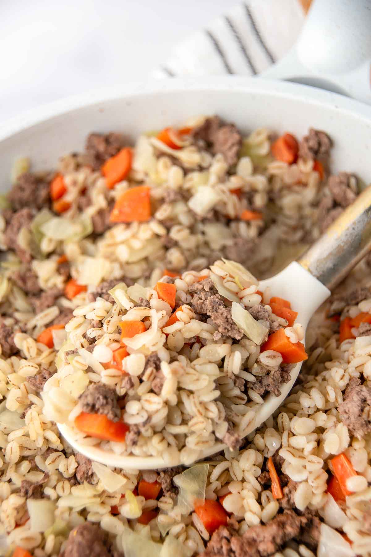Ground lamb and barley dog food with cabbage and carrots in a skillet.
