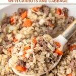 Homemade lamb and barley dog food on a serving spoon over the food in a skillet.