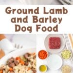 Ground lamb and barley dog food in a bowl and skillet and the ingredients on a marble surface.