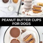 Homemade peanut butter cups for dogs ingredients and the cups on a plate.