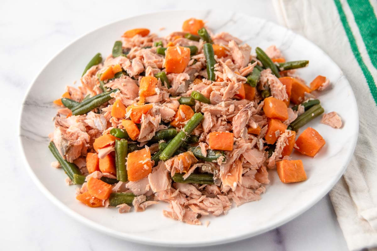 Homemade salmon and sweet potato dog food on a plate.