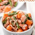 Homemade salmon and sweet potato dog food with green beans in a small dog food bowl.