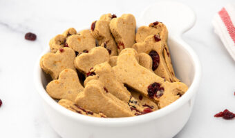 Homemade turkey and cranberry dog treats in a small bowl on a marble surface.