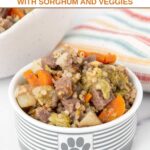 A bowl of homemade venison dog food with sorghum and vegetables.