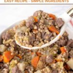 Homemade venison dog food in a large spoon over a bowl of it.