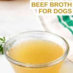 Homemade beef broth for dogs in a bowl on a marble surface.