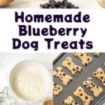 Homemade blueberry dog treats in a stack and bowl, on a baking sheet, and the ingredients.
