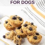 Homemade blueberry muffins for dogs on a marble platter.