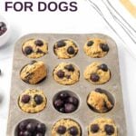 Homemade blueberry muffins for dogs in a muffin pan on a marble surface.