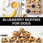 Homemade blueberry muffins for dogs ingredients and the muffins in a pan and on a platter.