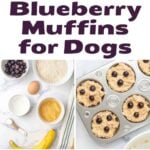 Homemade blueberry muffins for dogs in the pan and on a platter and the ingredients to make them.