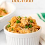 A small bowl of homemade chicken and pumpkin dog food.