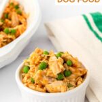 Homemade chicken and pumpkin dog food in a small bowl and in a skillet behind it.