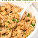 Homemade chicken and pumpkin dog food in a skillet and serving spoon.