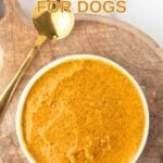 Homemade turmeric golden paste for dogs in a bowl and a spoon next to it.