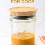 A jar of homemade turmeric golden paste for dogs.
