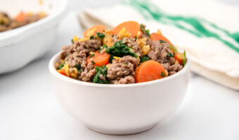 Beef and lentil homemade dog food in a bowl.