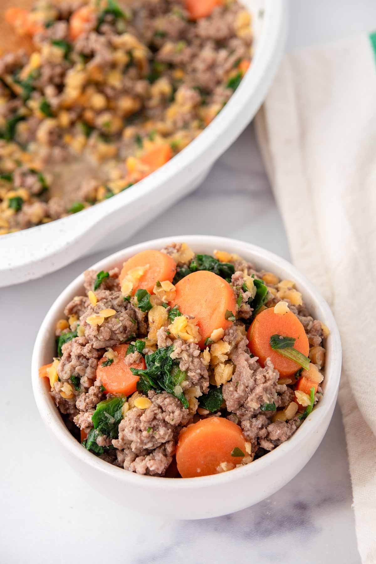 Beef and lentil dog food with carrots and spinach in a skillet and bowl.