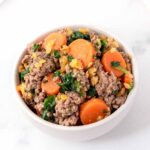 Beef and lentil dog food in a bowl.