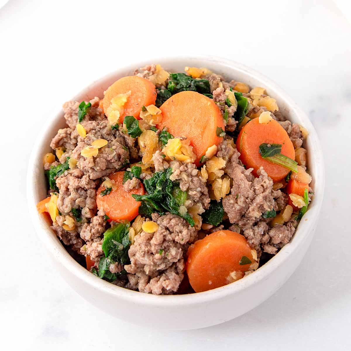 Beef and lentil dog food in a bowl.