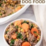 Dog food with lentils and beef in a skillet and a bowl.