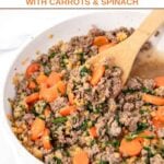 A skillet of homemade dog food with beef and lentils.