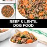 Beef and lentil dog food ingredients, cooking it in a skillet, and serving it in a bowl.