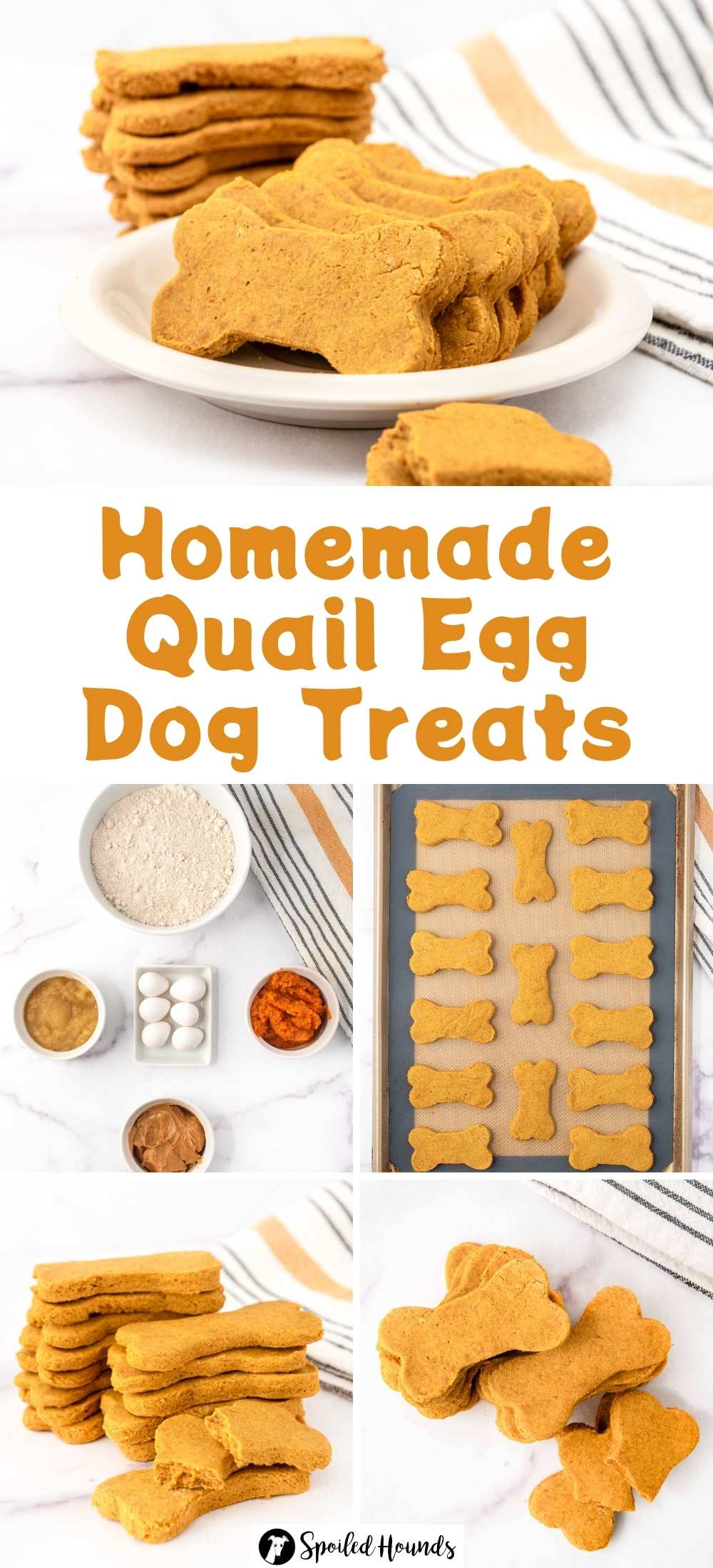 Image showcasing Homemade Quail Egg Dog Treats (Easy Recipe)